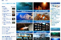 新江ノ島水族館が2013年度の「学生ボランティア」を募集中 画像