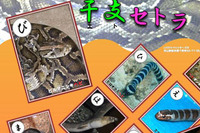 名古屋港水族館が干支展「ヘビにまつわる干支セトラ」…2/17まで開催 画像