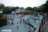 上野動物園など4園、障害をもつ子どもとその家族を閉園後に招待…6/8開催 画像