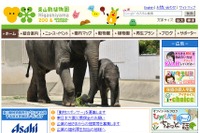 名古屋の東山動植物園で小学生対象の「サマースクール」開催 画像