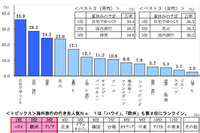 景気回復の影響は限定的？　夏休みの予定は2つ程度 画像