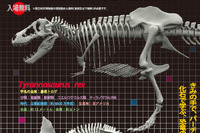 恐竜の骨格標本をバーチャルリアリティ化した企画展、国立科学博物館で11/4まで 画像