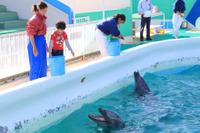 4/19は飼育の日、「イルカの餌やり」など動物園・水族館でイベント 画像