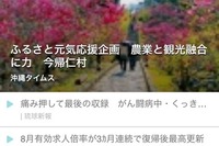 沖縄県内の情報を集めたスマホ向けニュースアプリ「おきコレ」登場 画像