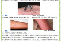 東京都、デング熱など蚊媒介感染症対策を国へ緊急提案 画像