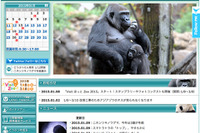 上野動物園「ゴリラ来日60周年記念イベント」1/24～25 画像