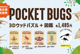 昆虫3Dウッドパズル「ポケバグ」ヘラクレスオオカブトら4種発売