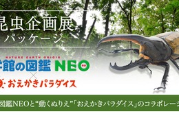 図鑑NEOとおえかきパラダイスのコラボ「昆虫企画展パッケージ」提供開始