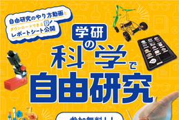 【夏休み2024】書籍「中学生の理科 自由研究」の実験を公開、学研