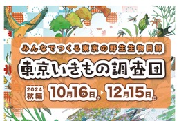 アプリでいきもの探し「東京いきもの調査団・秋編」12/15まで