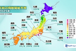 2025年花粉飛散予想、スギ花粉1月下旬から開始