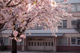 【中学受験2026】今年の人気校は？ねらい目校は？…過去問の売れ行き前年比較で探る注目校＜共学校編・後編＞