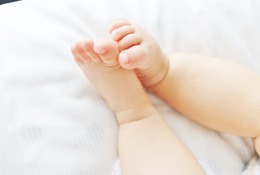 最難関・灘中が国語で投じた一石…パレスチナの現代詩から読み解く、今求められる読解力 画像