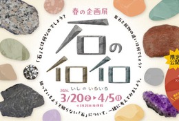 【春休み2026】「石のイロイロ」多摩六都科学館で3/20開幕、火星隕石の特別展示も 画像