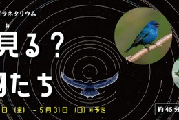 多摩六都科学館、プラネタリウム「星を見る？動物たち」5/31まで 画像