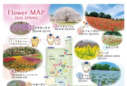 【GW2026】フラワーフェスティバル、国営昭和記念公園5/24まで 画像