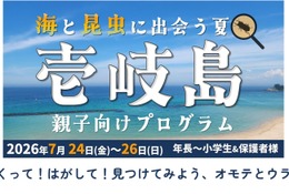 【夏休み2026】壱岐島、親子向けプログラム参加者募集 画像