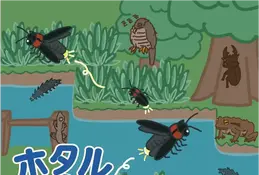 東京・練馬で「ホタルの観察会」6-7月…展示や体験も