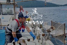 【夏休み2026】三陸で漁業体験「さかなたび」8/3-4…高・大学生対象 画像