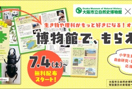 【自由研究2026】植物・貝がら・昆虫の標本づくり冊子を無料配布…大阪市立自然史博物館 画像