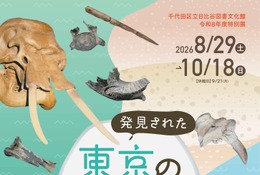 特別展「発見された東京の化石」日比谷図書文化館で8/29から 画像