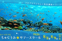 【夏休み2026】横浜で沖縄の海を体験、つるみ・ちゅらうみサマースクール8/8-9 画像
