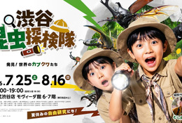 【夏休み2026】世界のカブトムシ・クワガタ大集合、渋谷で昆虫探検…自由研究にも 画像