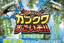 【夏休み2026】世界の人気昆虫が大集合…けやきひろば7/18 画像