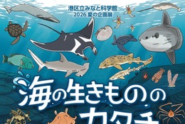 【夏休み2026】みなと科学館「海の生きもののカタチ」企画展9/13まで…実寸大エイも 画像