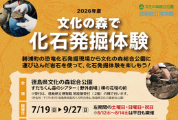 【夏休み2026】徳島県立博物館、化石発掘体験…小中生500円 画像