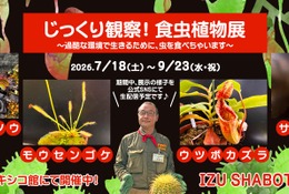 【夏休み2026】伊豆シャボテン動物公園「食虫植物展」7-9月…自由研究にも 画像
