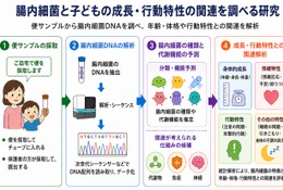 未就学児の腸内細菌、睡眠や情緒との関連を確認…金沢工業大・三重大