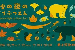 上野動物園「秋の夜のどうぶつえん」10/9-12 画像