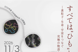 素粒子・生命・宇宙をつなぐ「ひも理論」公開講座11/3 画像