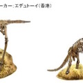 恐竜の化石模型シリーズ