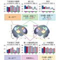 脳活動の言語差（日本語と英語）、大脳半球差（左半球と右半球）、性差（男子と女子）の統計解析結果