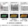 理化学研究所と東京都市大学の発表資料より