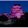 乳がん知識啓発キャンペーン「ピンクリボン」で、ライトアップされた姫路城（※写真はイメージ）