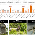 解読難解ワード・動物編（ウェブリオ調べ）