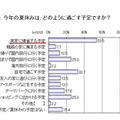 今年の夏休みは、どのように過ごす予定ですか