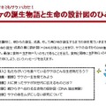 理科実験教室～サケの誕生物語と生命の設計図のひみつ～