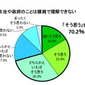 政治や政府のことは複雑で理解できない