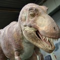 玉川高島屋ショッピングセンター「生命40億年の旅～大むかしの生きもの展」　ティラノサウルス