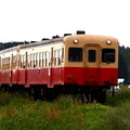 千葉県内のJR線のほか、一部の私鉄やバスなども利用できる。写真は小湊鉄道線。
