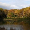 秋の光が丘公園