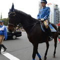 青山ワールドスポーツパレード、2015年の様子