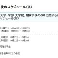 今後のスケジュール　文部科学省「国立教員養成大学・学部、大学院、附属学校の改革に関する有識者会議」