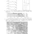 岩手県公立高校入試＜社会＞（問題・正答）