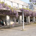 鴎友学園　校内のようす