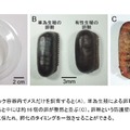 お互いが十分に接触できる小さめのプラスチック容器にゴキブリを入れて調査